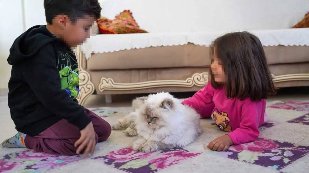 Antalya’da Kadri Dede 3 Torunu İçin Verdiği Yaşam Savaşını Kazandı! 5